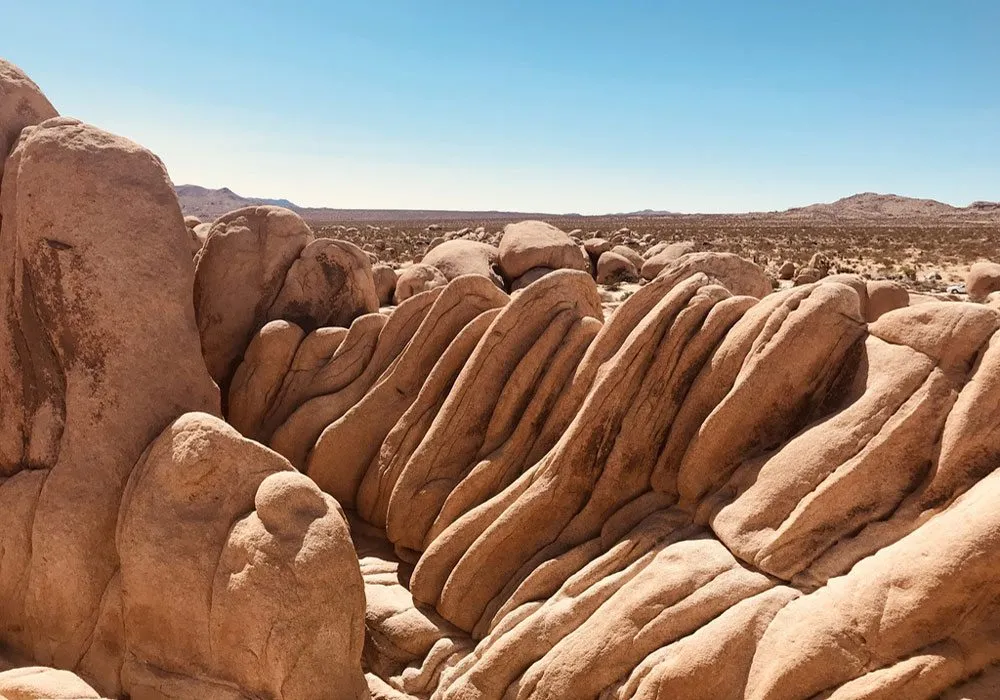 JOshua Tree National Park Trek Travel Cycling Vacations