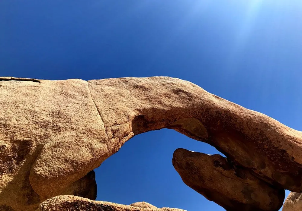 JOshua Tree National Park Trek Travel Cycling Vacations