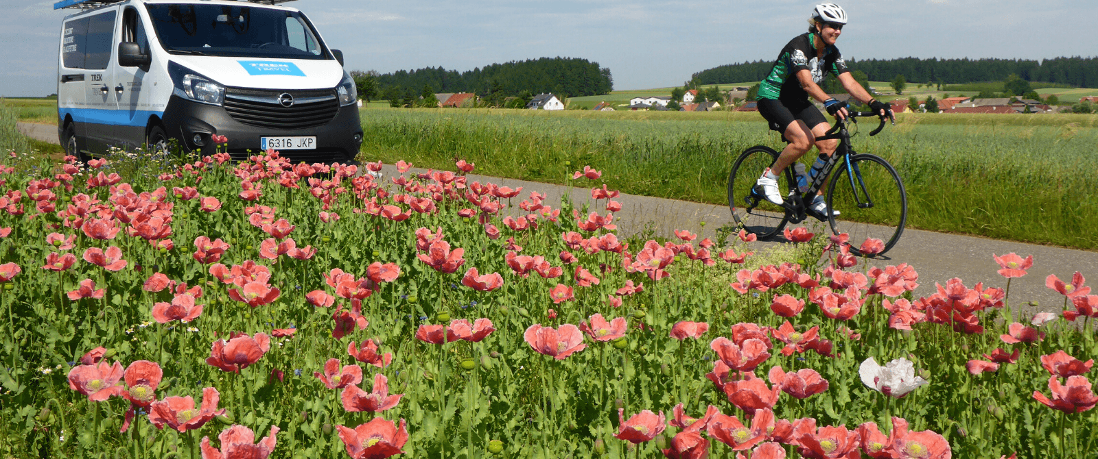 person riding their bike on a paved road lined with pink flowers