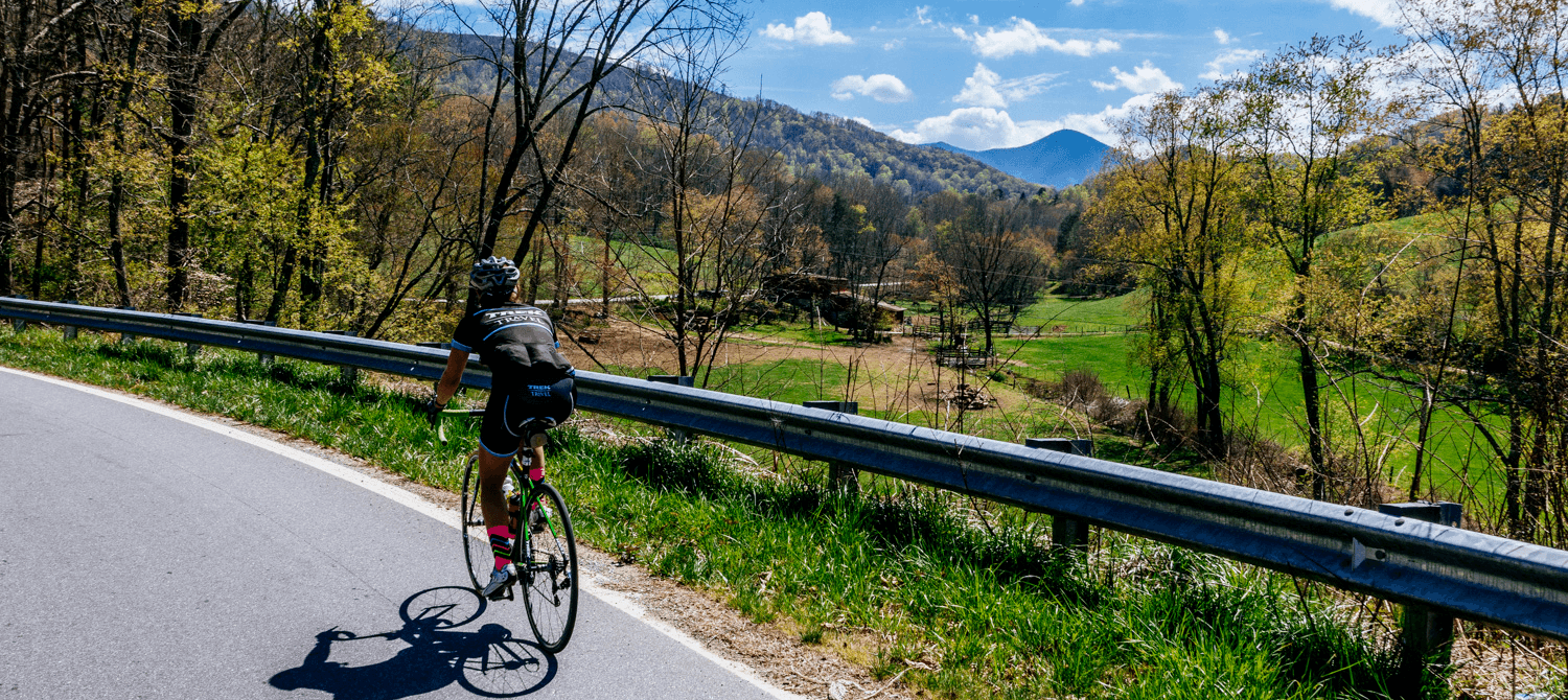 A cyclist rides away from the camera with Mt Pisgah and green fields in the background