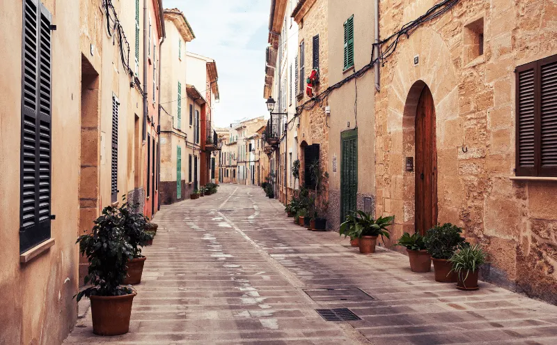 Spin through Sineu