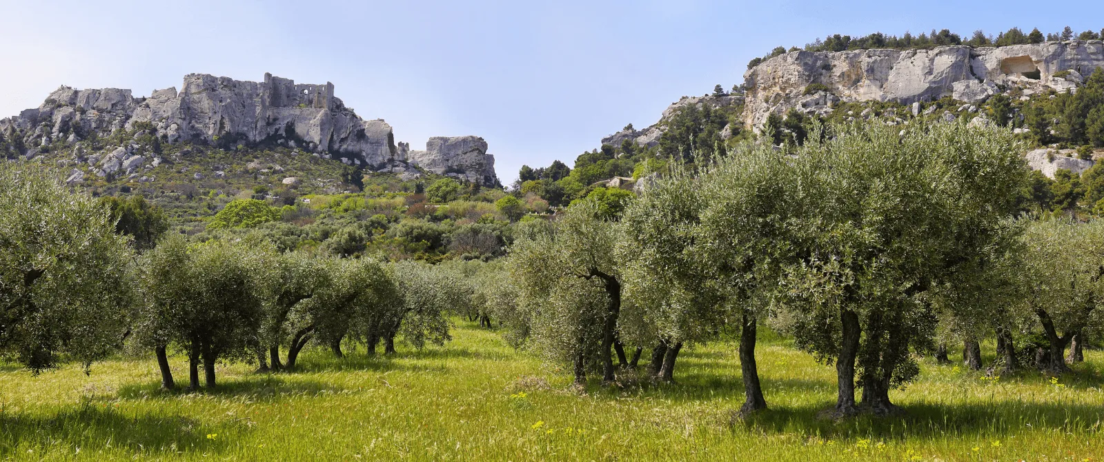 Provence Self-Guided Bike Tour