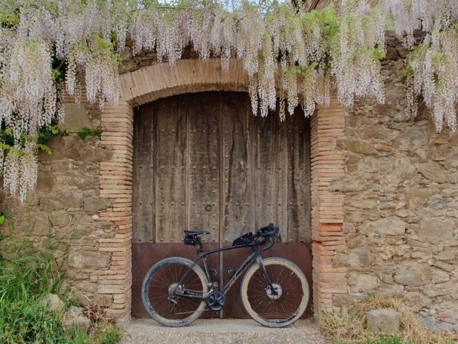 Trek Checkpoint gravel bike set against a historic building in Girona, Spain, with weeping Spanish moss framing the top part of the photo