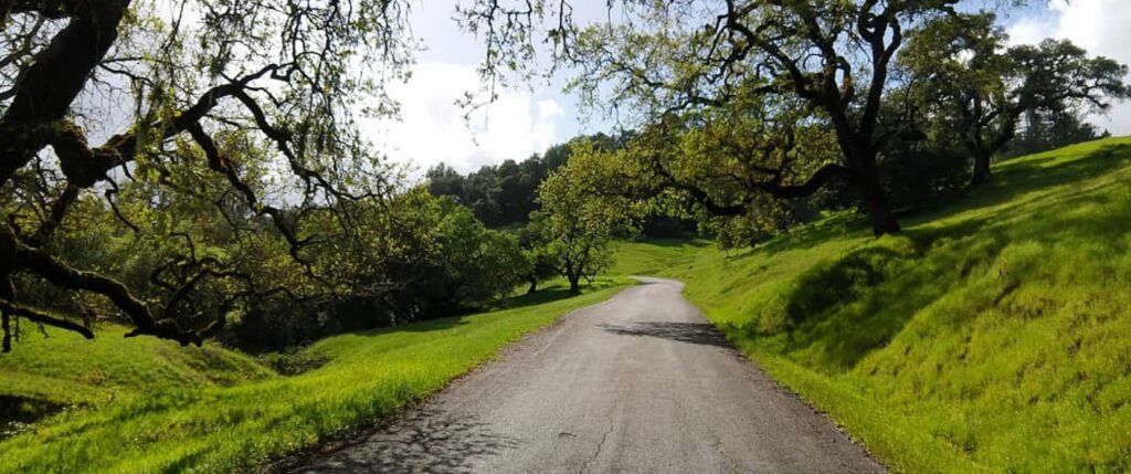 A road in Healdsburg, California