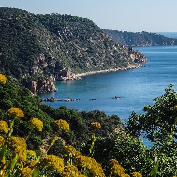 Bay in Costa Brava