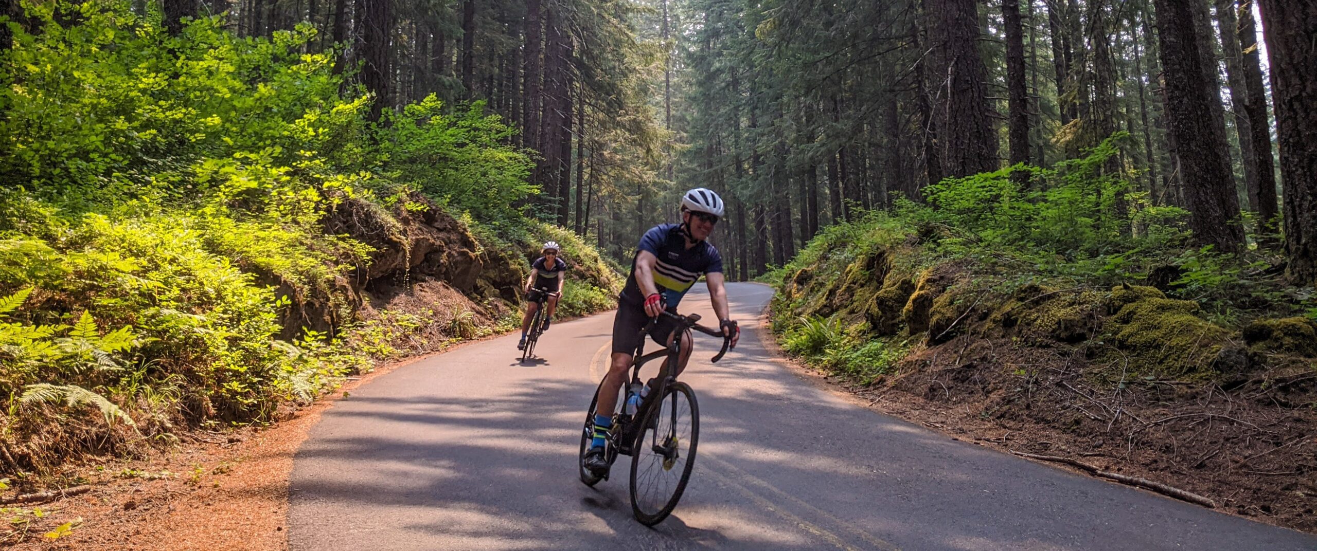 two people riding their bikes on a paved road through Oregon trees