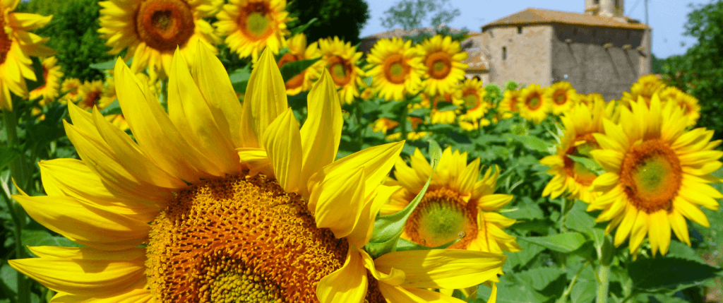Girona and Costa Brava Self-Guided Bike Tour