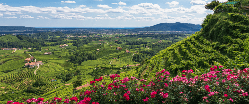 Prosecco Hills Self-Guided Bike Tour