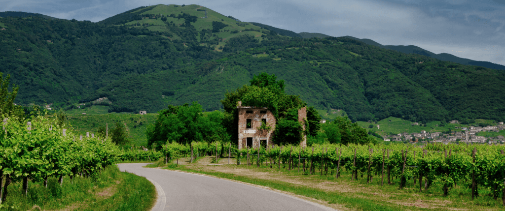 Prosecco Hills Self-Guided Bike Tour