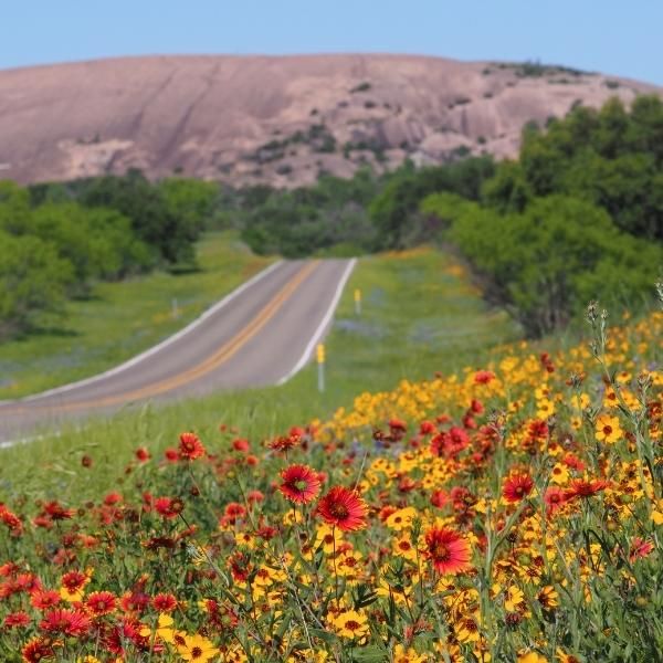 Enchanted Rock State Park