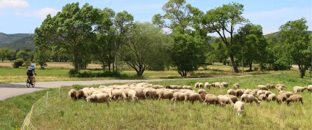 Provence Self-Guided Bike Tour