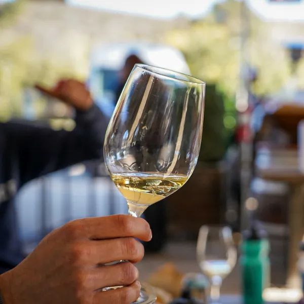 Sample wine in Amboise