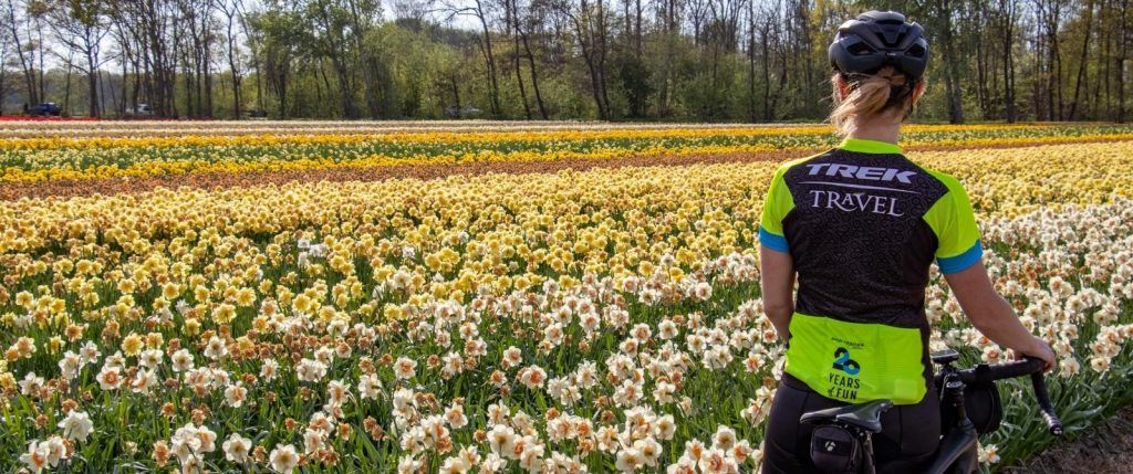 Trek Travel in Keukenhof gardens in Netherlands