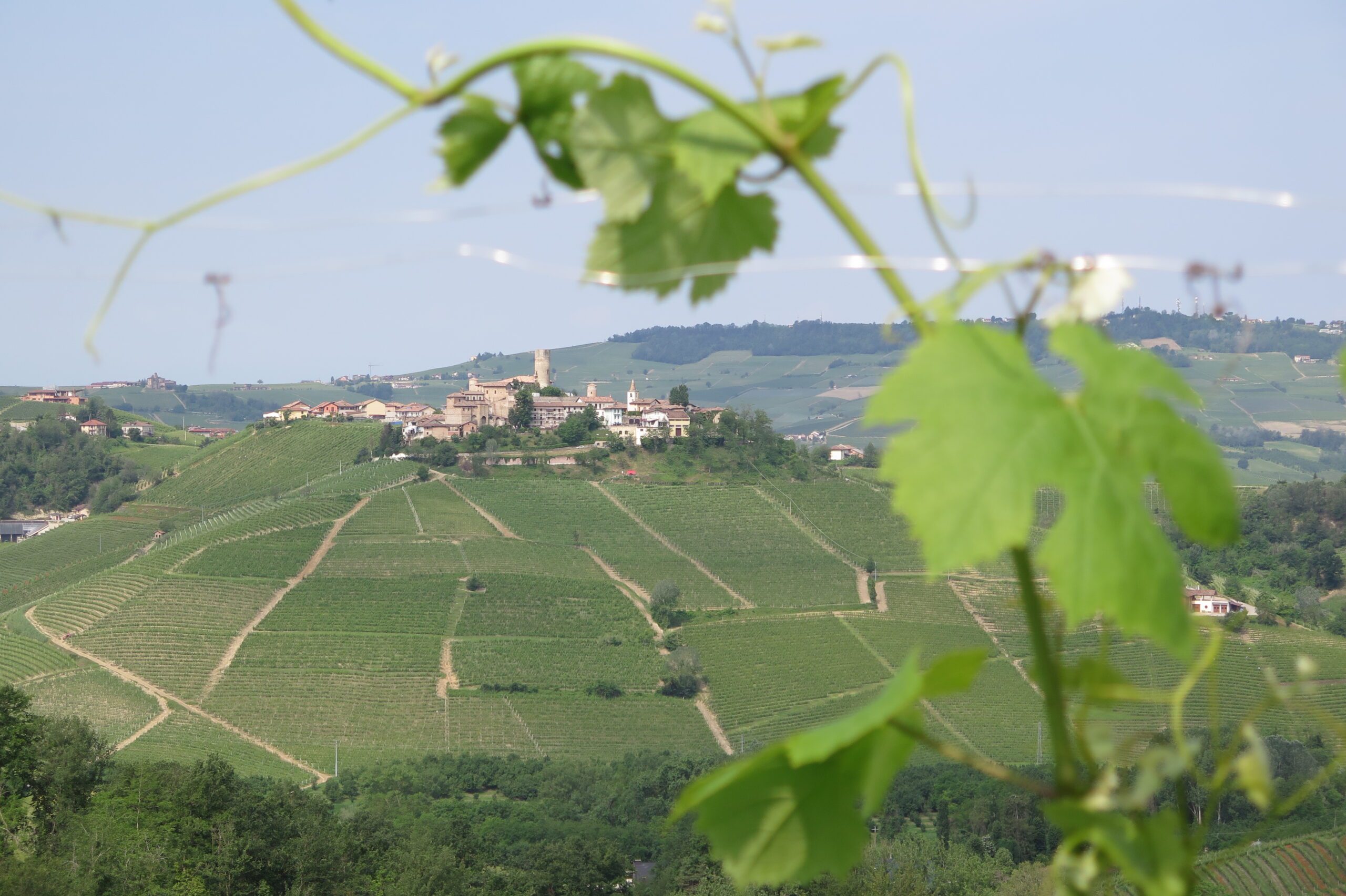 Scenic introductory ride in the Langhe region of Piedmont
