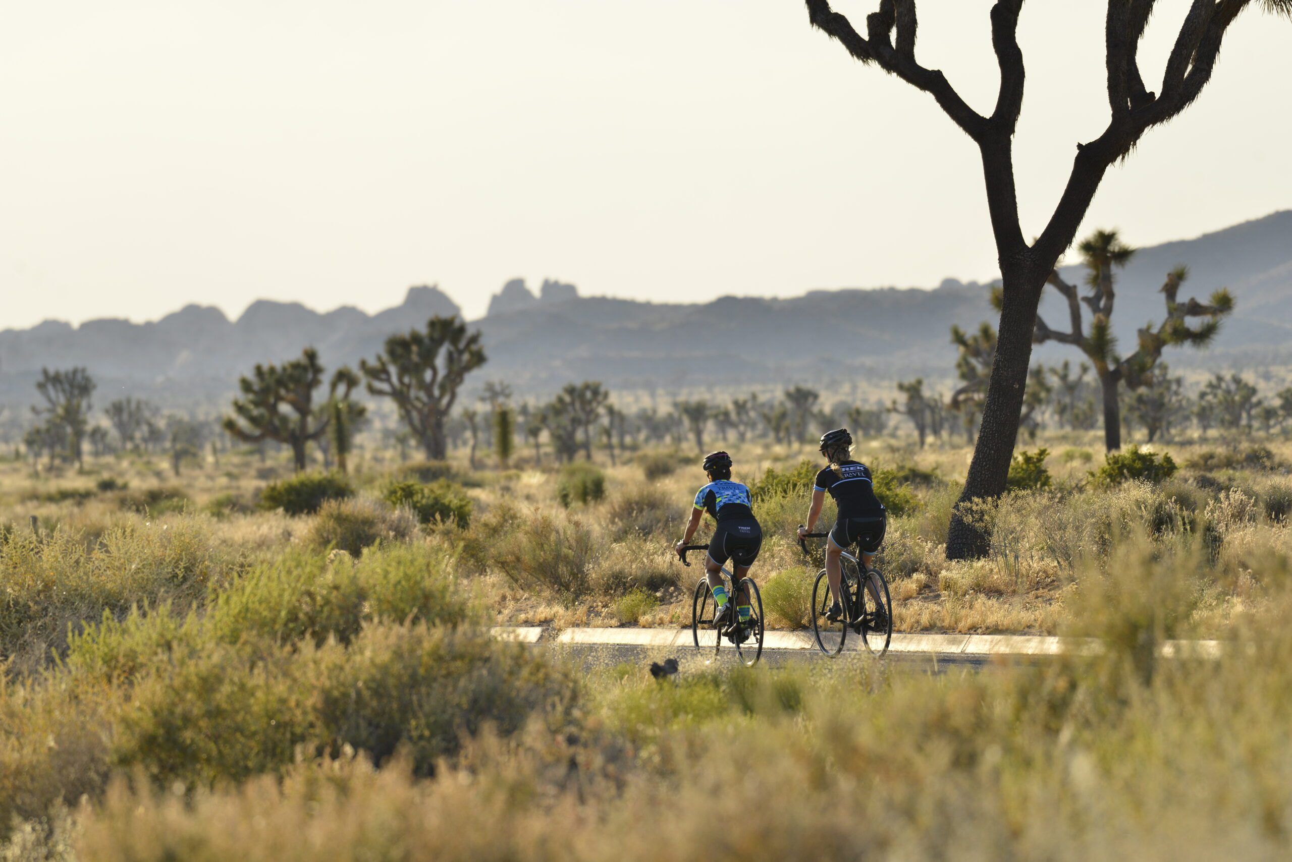 Palm Springs and Joshua Tree National Park Bike Tour - Trek Travel Palm Springs and Joshua Tree National Park Bike Tour - Trek Travel