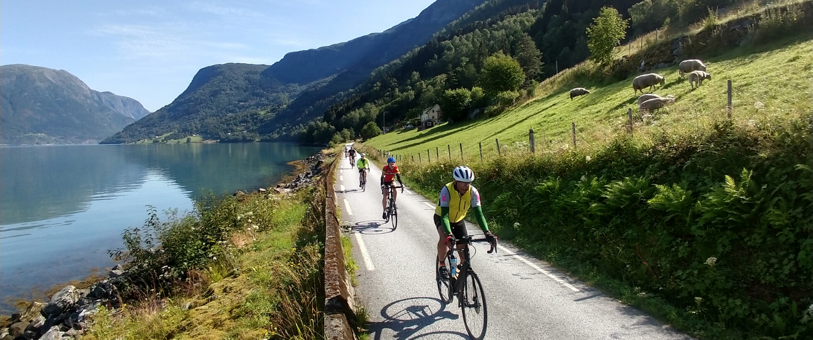 Cyclists riding along a fjord
