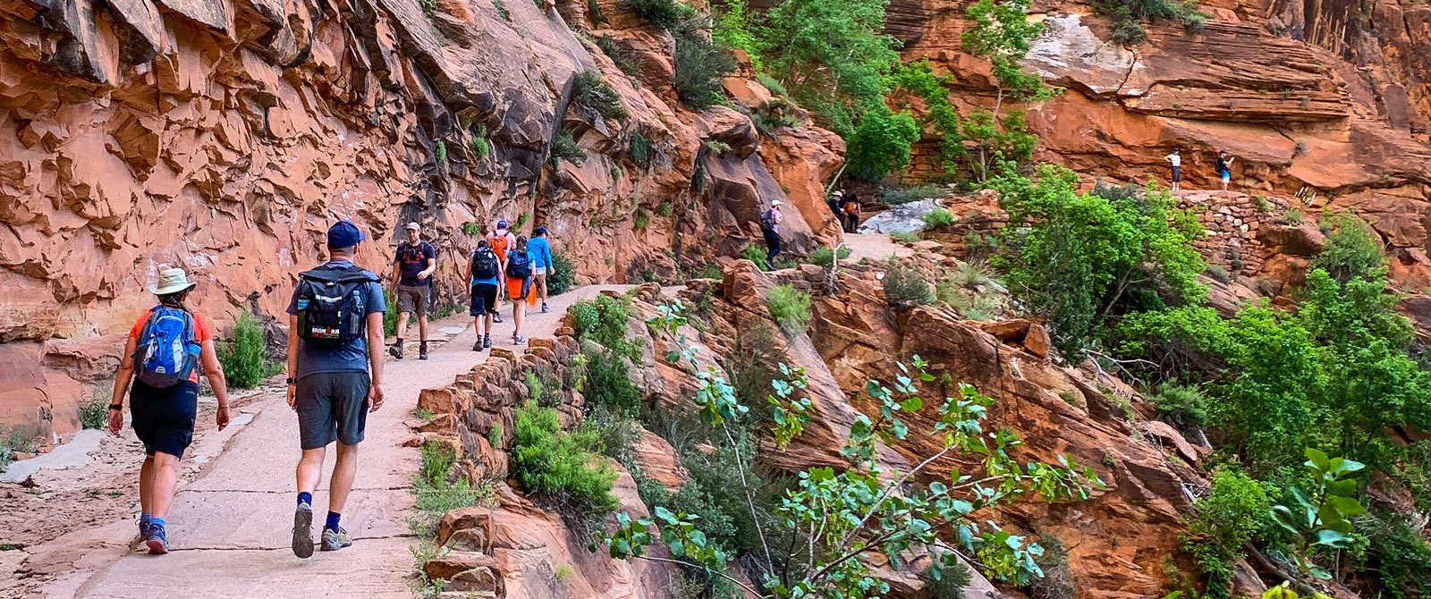 hikers starting the walk up to Angel's Landing in Zion National Park