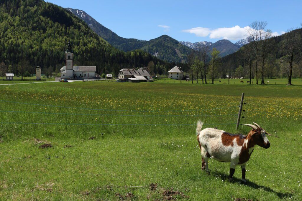 Classic Climbs: The Slovenian and Italian Alps Bike Tour