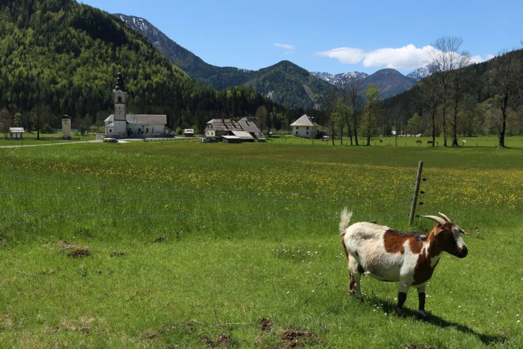 Classic Climbs: The Slovenian and Italian Alps Bike Tour
