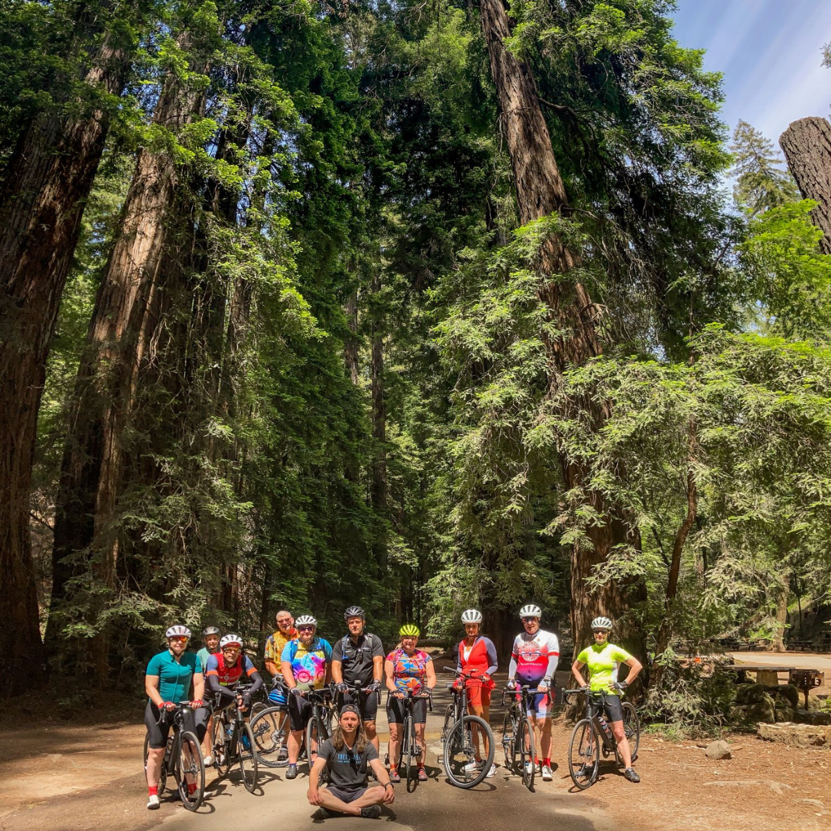A group of people at the Redwood Forest