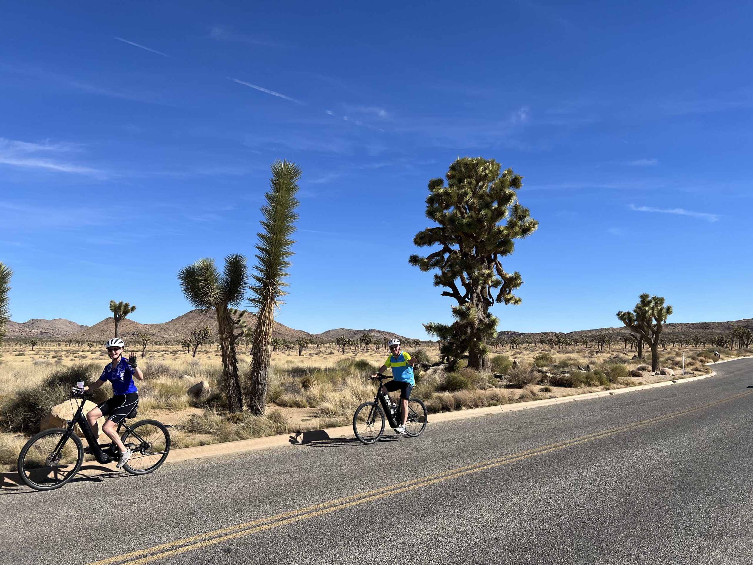 Two cyclists riding by cacti and waving