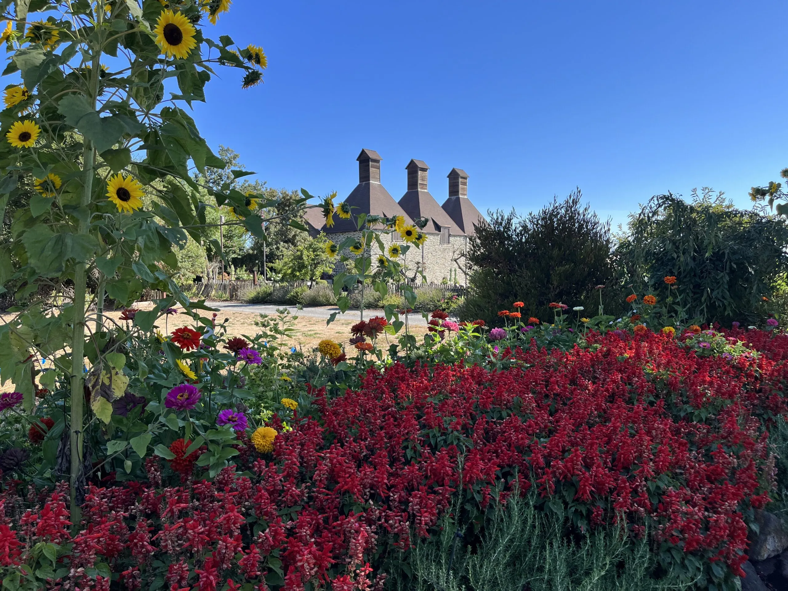 California Wine Country Bike Tour
