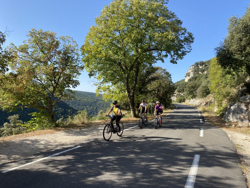 Group riding on a tree-lined road in Provence