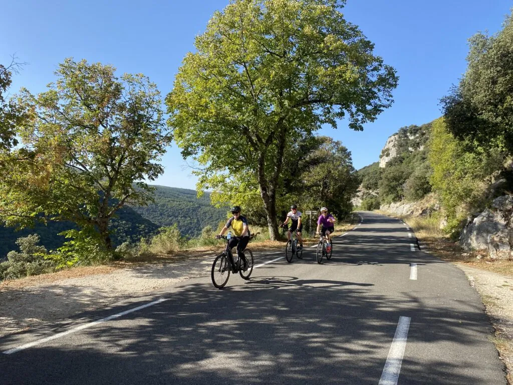 Group riding on a tree-lined road in Provence