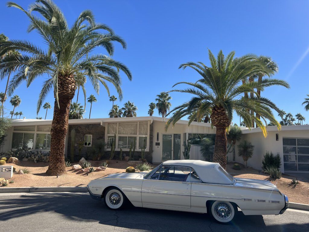 Palm Springs and Joshua Tree National Park Bike Tour
