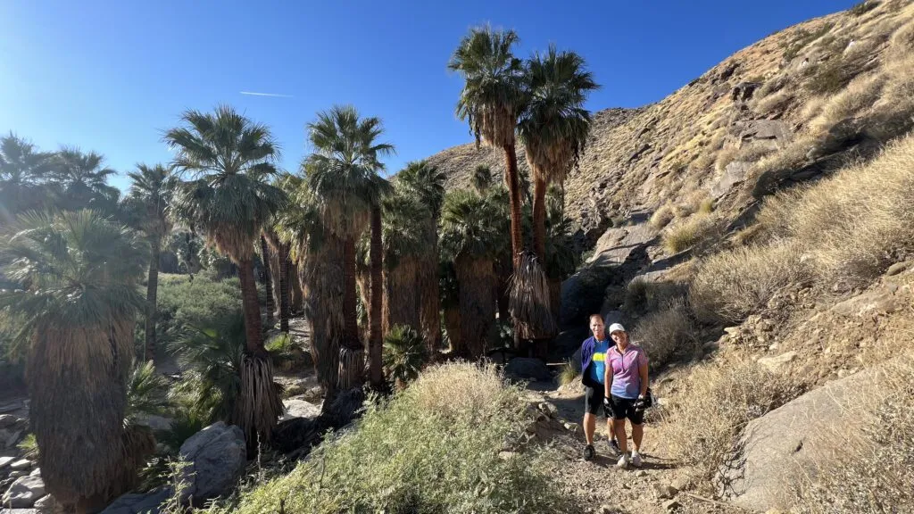 Palm Springs and Joshua Tree National Park Bike Tour