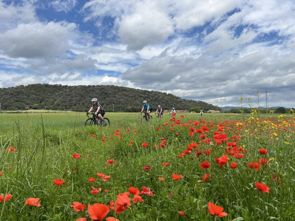 Girona and Costa Brava Gravel Bike Tour