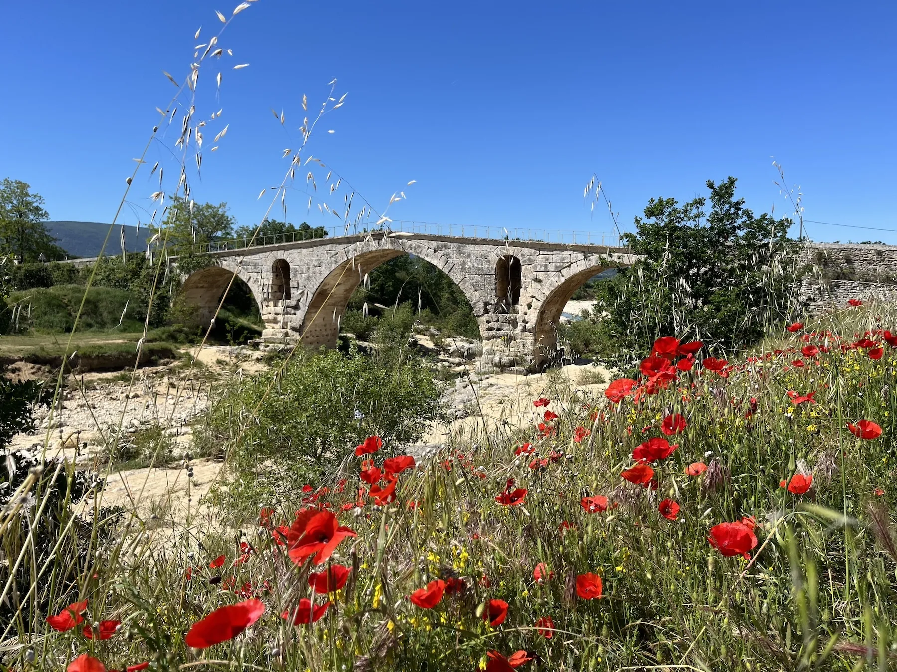 Provence Bike Tour
