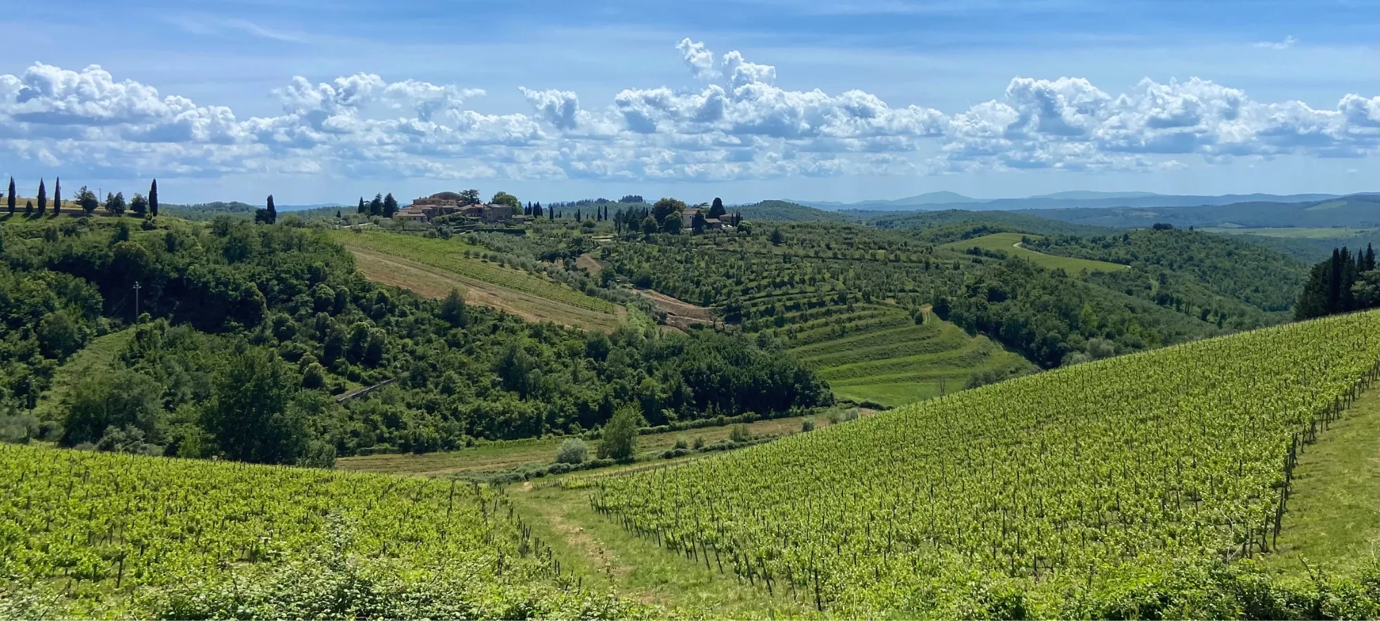 Tuscany Wine Country Bike Tour