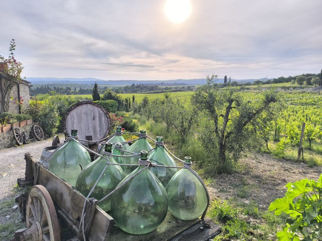 Tuscany Wine Country Bike Tour