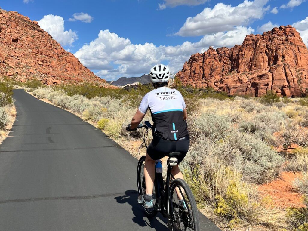 Zion National Park 4-Day Bike Tour