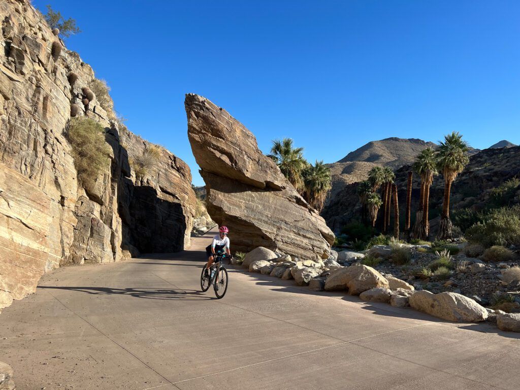 Palm Springs and Joshua Tree National Park Bike Tour