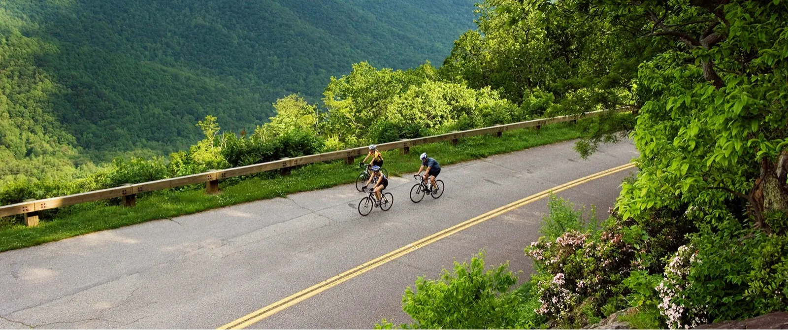 Join Trek Travel at AutoCamp Russian River