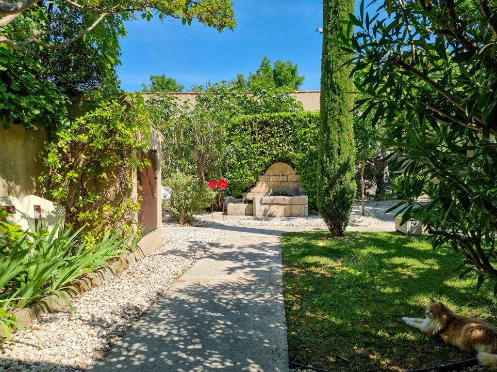 the garden at hotel Sous les Figuiers