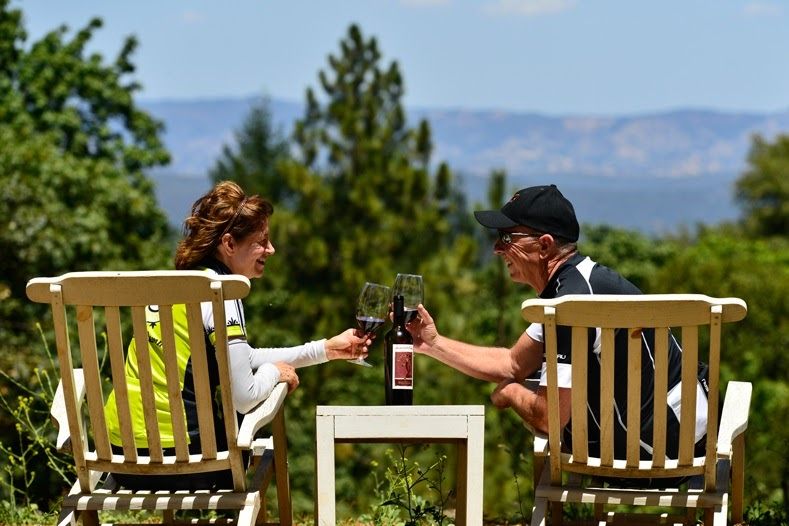 two people making a toast with their wine glasses as they overlook wine country in California