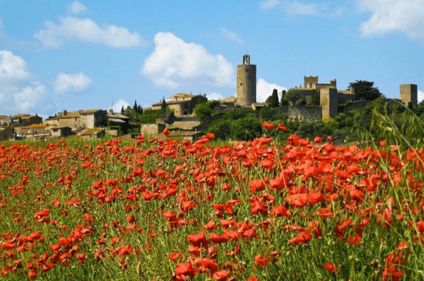 Poppy field with town in the background