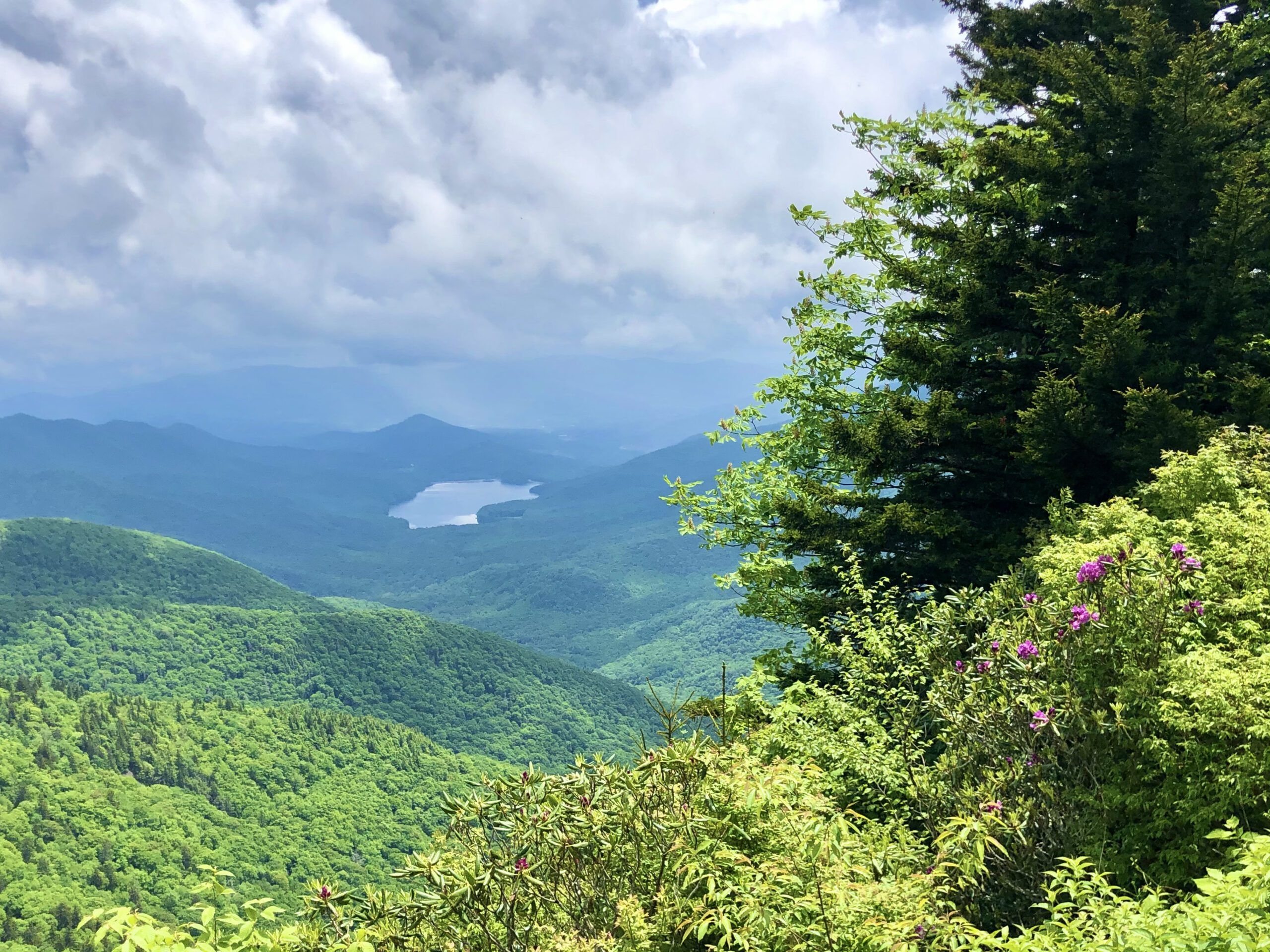 Views from the Blue Ridge Parkway