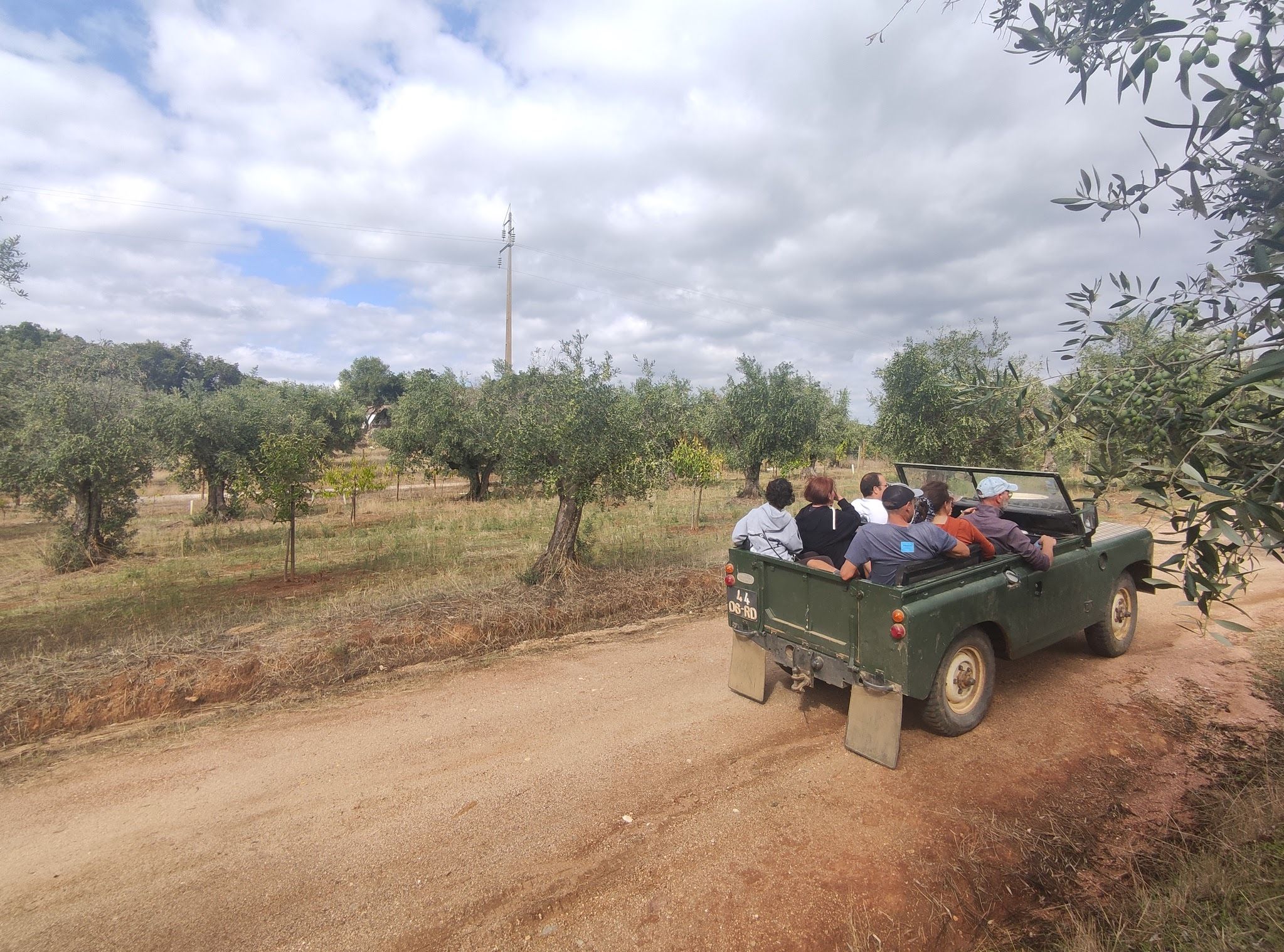 Private guided tour in a Cork tree forest 