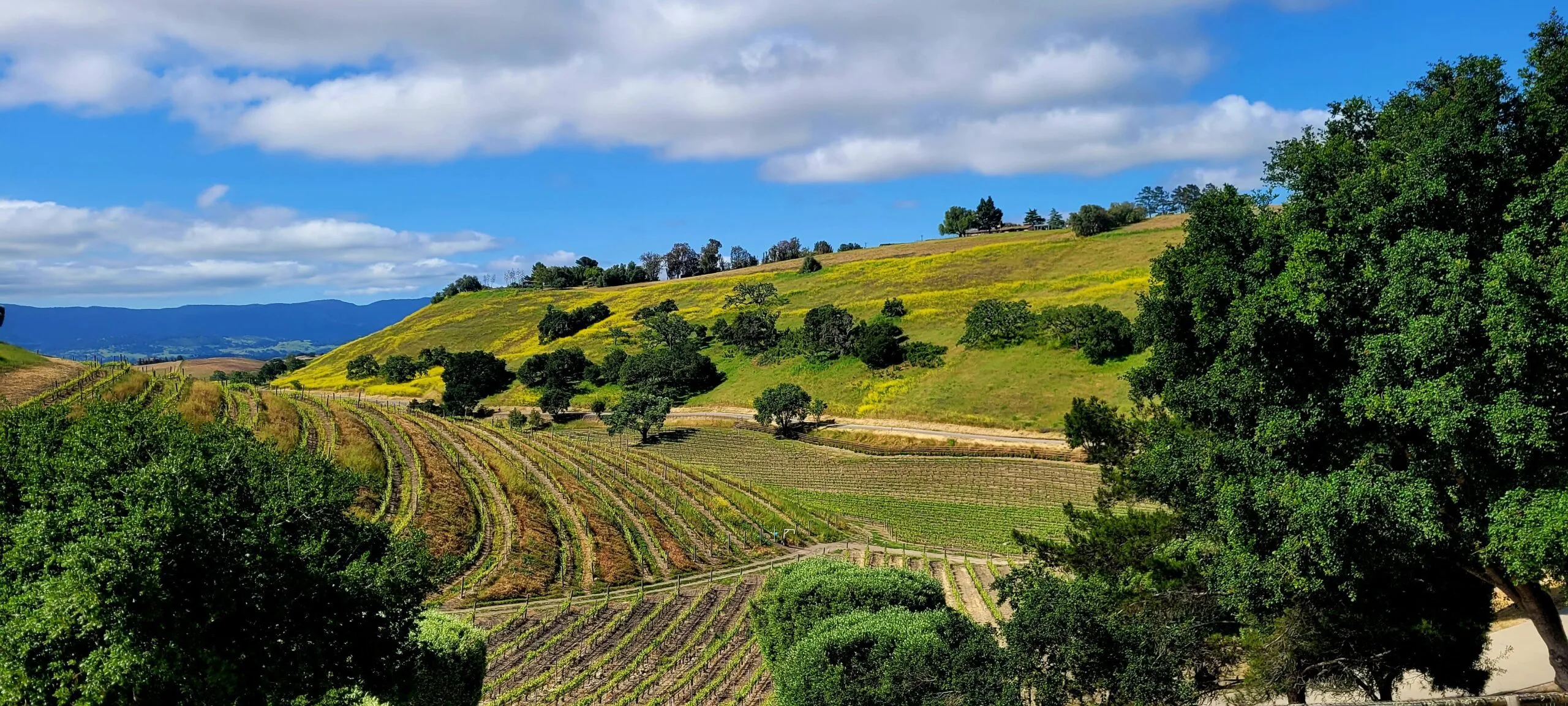 Solvang Ride Camp Bike Tour
