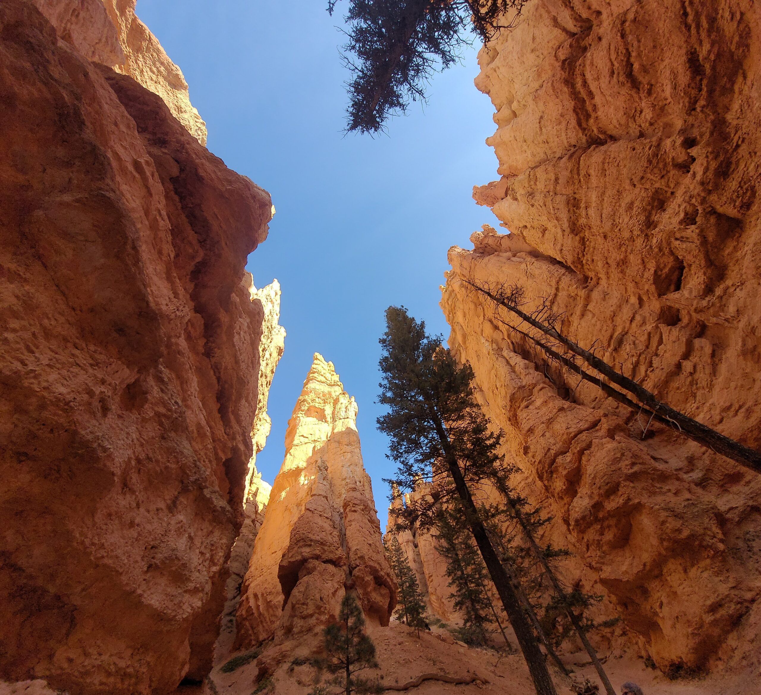 Hoodoos