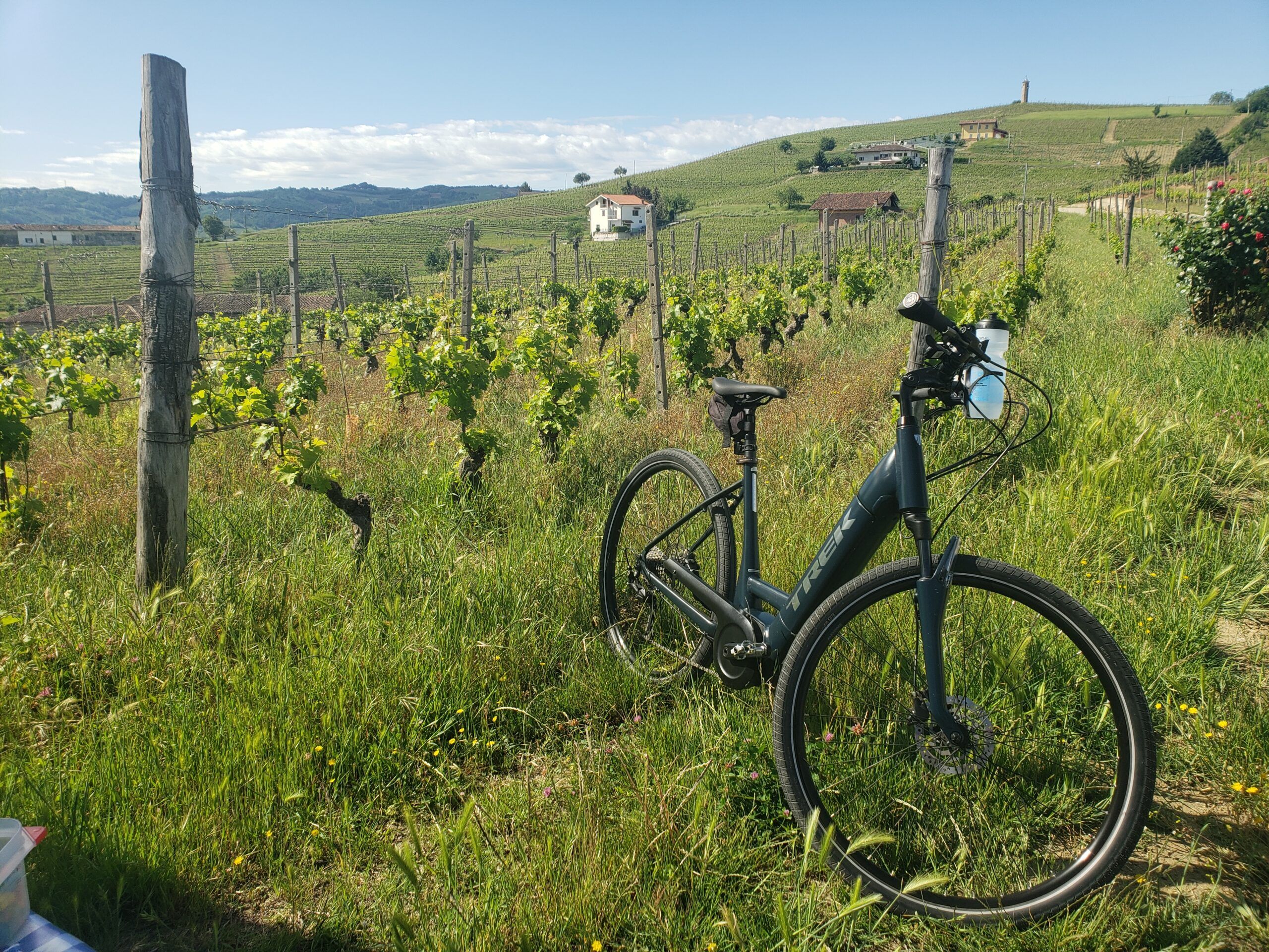 A relaxing early morning ride