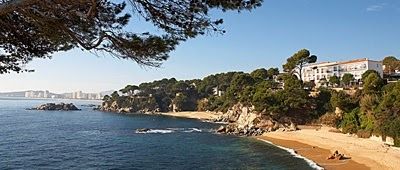 The beach and trees surrounding the Hotel San Jorge.