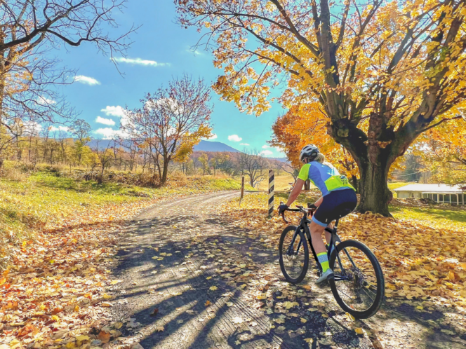 Cyclist riding gravel roads through Shenandoah Valley