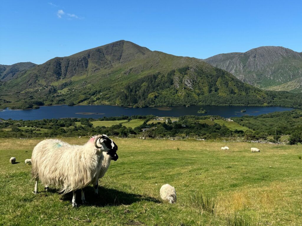 Ireland Bike Tour