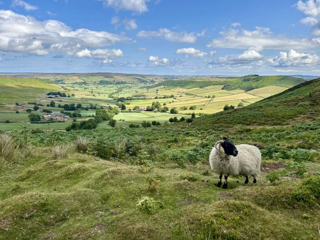 England Coast to Coast Bike Tour
