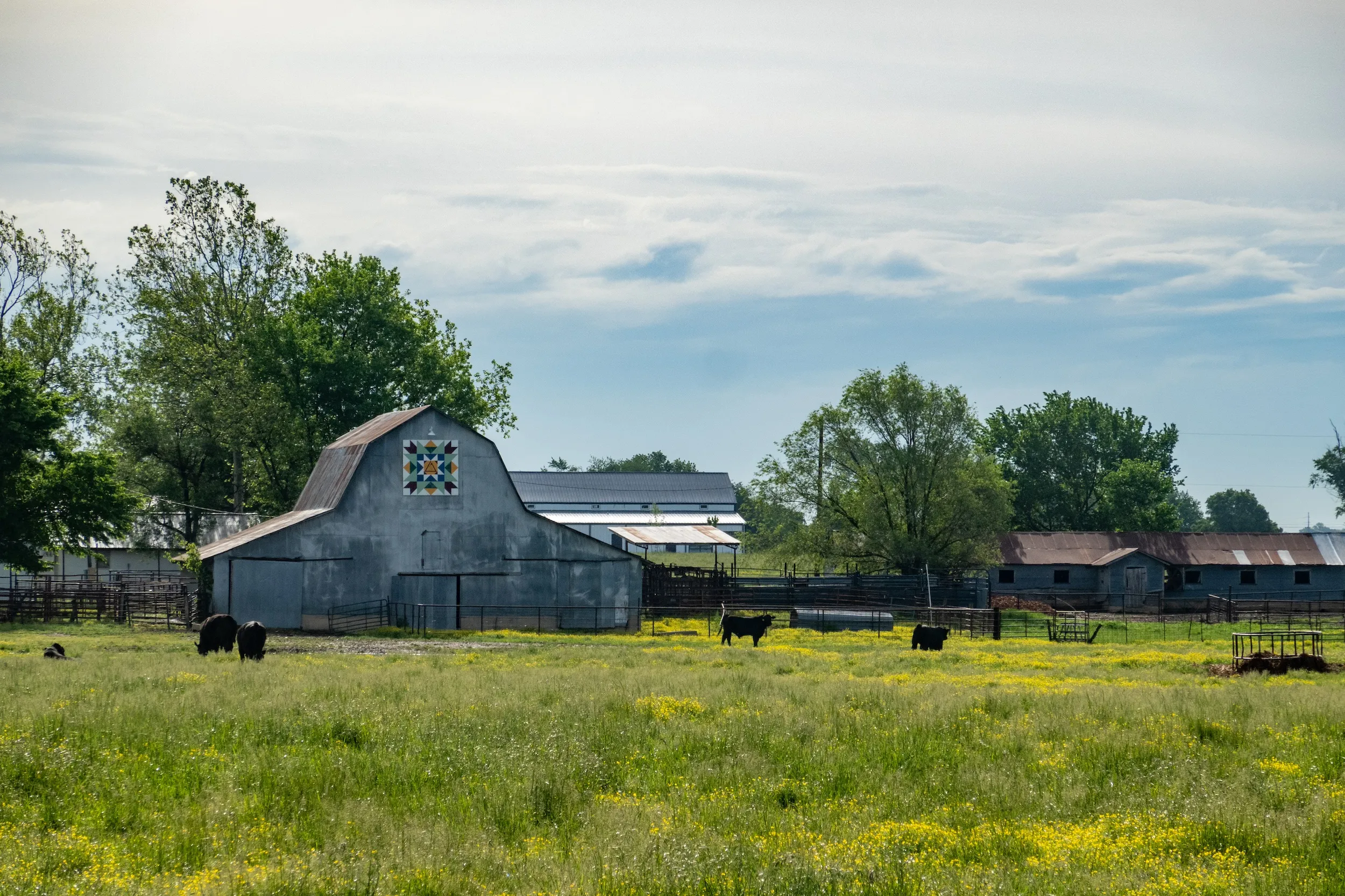 Bentonville Gravel Bike Tour